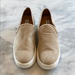 Steve Madden Women’s Gills Sneaker